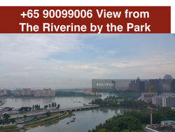 The Riverine By The Park (D12), Apartment #156976052